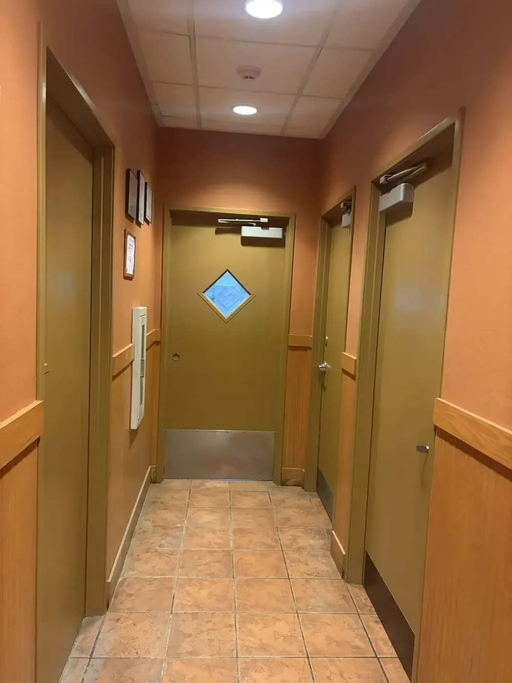 Hallway with painted walls and wood-tone doors